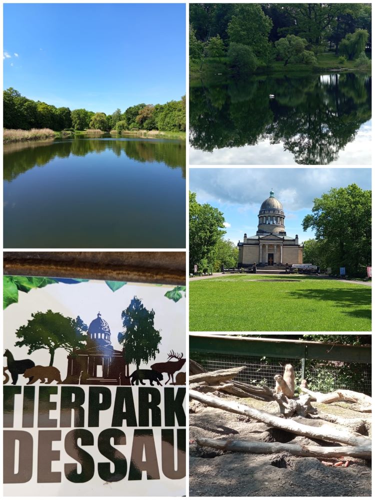 Collage aus fünf Fotos: Oben links zeigt ein ruhiger See mit bewaldeten Ufern unter blauem Himmel. Oben rechts spiegelt sich ein Baum im Wasser eines Sees. In der Mitte steht ein historisches Gebäude mit Kuppel, umgeben von Bäumen und einer gepflegten Rasenfläche. Unten links ist ein Schild mit der Aufschrift „TIERPARK DESSAU“ und Silhouetten von Tieren wie Bären und Hirschen. Unten rechts liegen helle Baumstämme in einem Gehege.