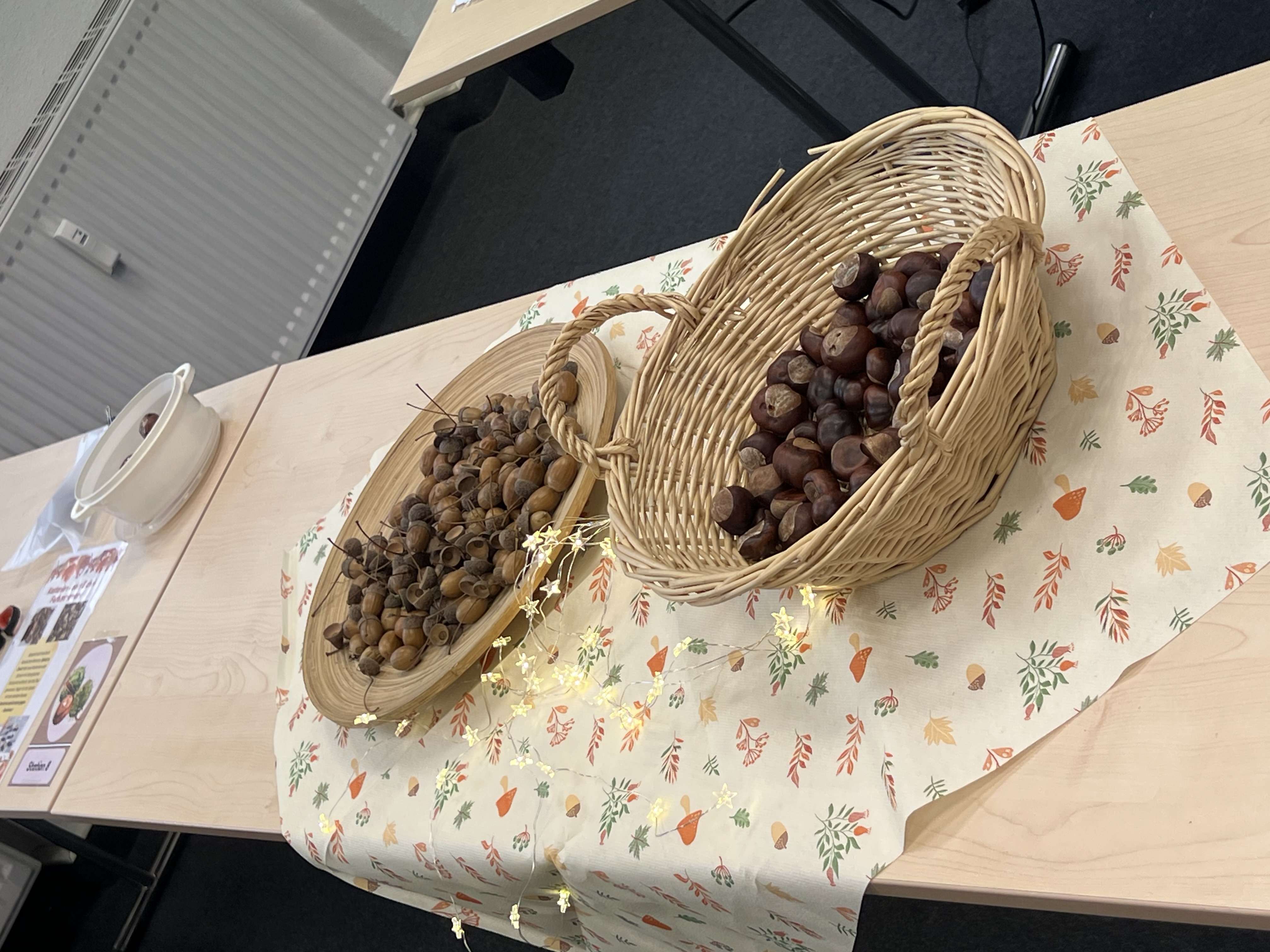 Auf einem herbstlich dekorierten Tisch stehen zwei Weidenkörbe, einer mit Kastanien und einer mit Eicheln auf Spießen, umgeben von Lichterkette und Infomaterial.