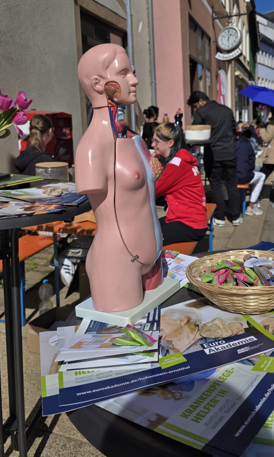 Auf einem Tisch mit Infomaterial der Euro Akademie Hohenstein-Ernstthal steht das Model eines menschlichen Körpers; im Hintergrund sitzen Menschen an Festbänken.