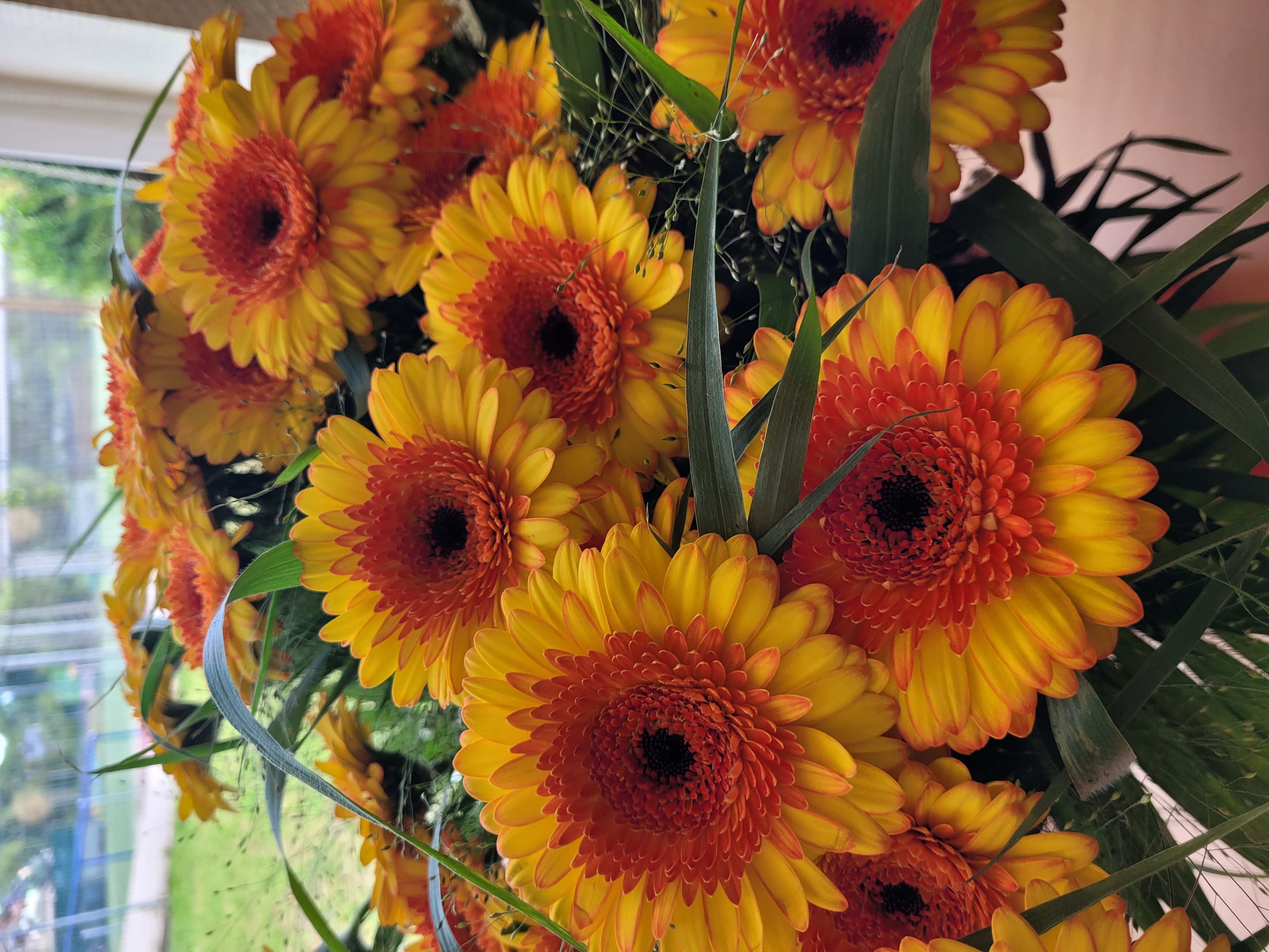 Blumenstrauß aus gelb-orangen Gerbera.
