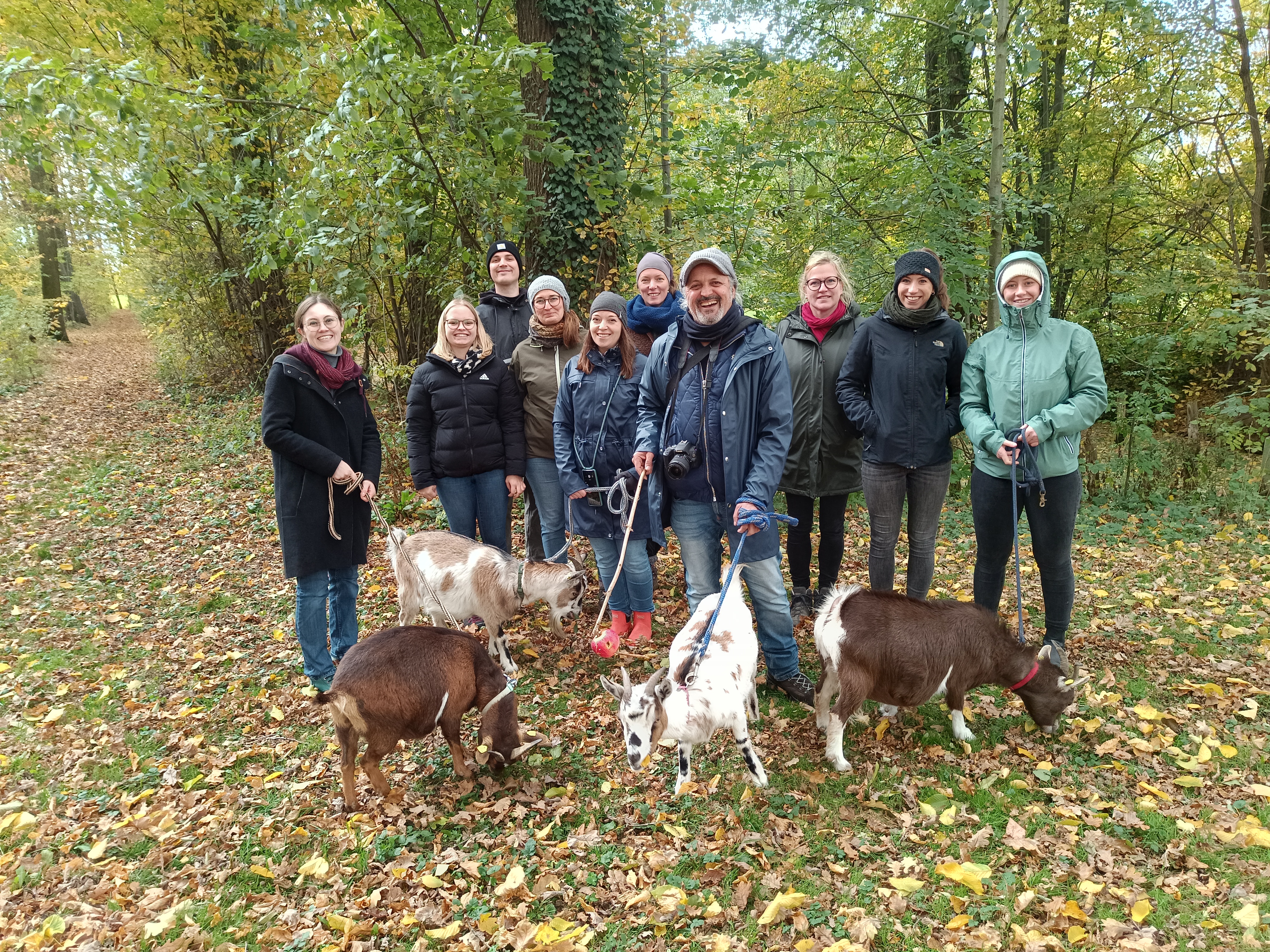 Elf Personen stehen auf einem herbstlichen Waldweg; mehrere halten Ziegen an Leinen, vier kleine Ziegen grasen im Vordergrund.