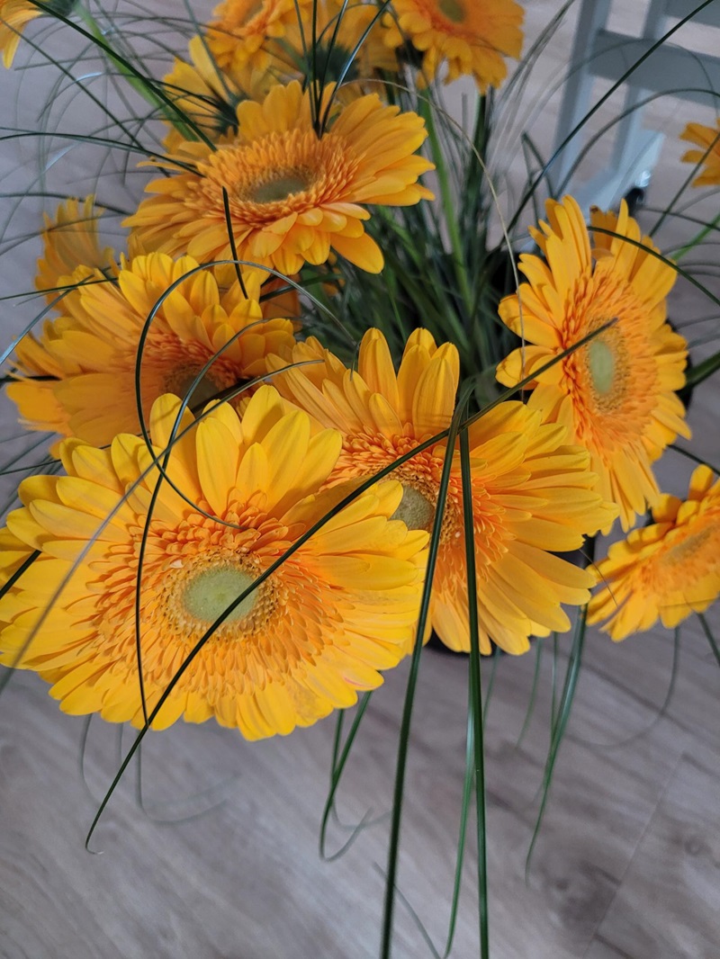 Mehrere leuchtend gelbe Gerbera-Blüten mit grünlichen Zentren sind in einem Strauß arrangiert. Lange, schmale Grashalme durchziehen das Arrangement. Der Hintergrund zeigt einen hellen Holzboden.