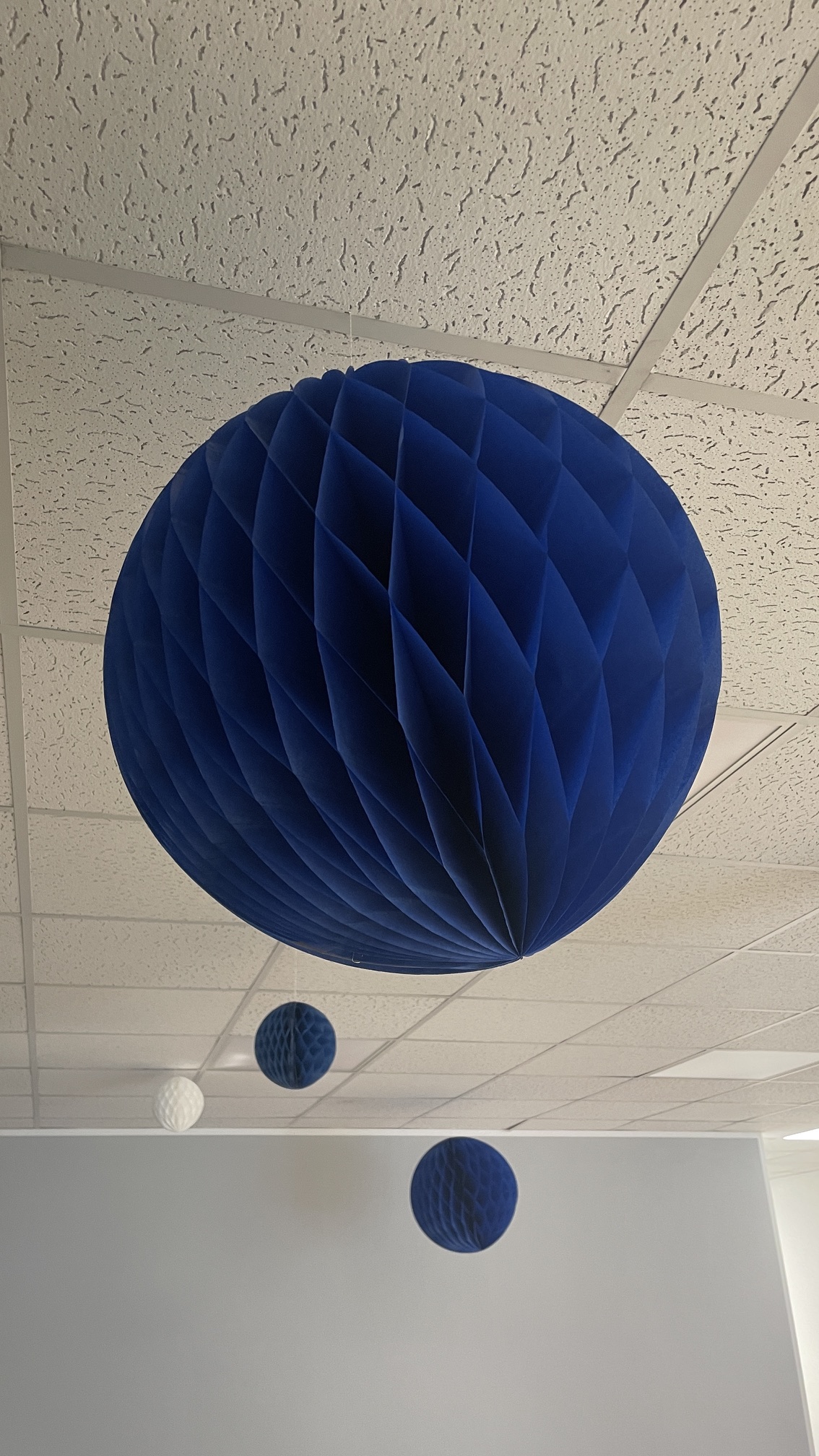 Blaue und weiße Wabenbälle hängen als dekorative Elemente von der Decke.