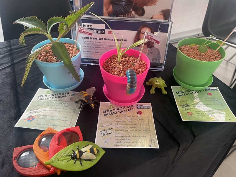 Auf dem Tisch des Messestandes der Euro Akademie liegen Lupen, Informationsflyer zu den drei Grünpflanzen, die ebenfalls in Blumentöpfen auf dem Tisch stehen. Darunter eine Pilea-Pflanze und eine Grünlilie.