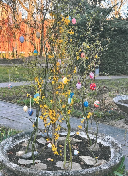 Ostern hält Einzug Blumenschale im Außengelände der Euro Akademie Riesa ist mit Osterzweigen und bemalten Ostereiern dekoriert.