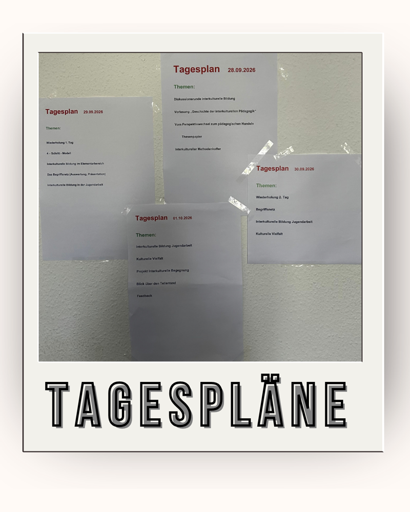 Drei weiße Blätter mit Tagesplänen sind nebeneinander an einer Wand befestigt. Jedes Blatt enthält eine Überschrift, ein Datum, das Thema des Tages und eine Liste mit Programmpunkten. Unten im Bild steht in großen, serifenlosen Buchstaben das Wort ‚TAGESPLÄNE‘.