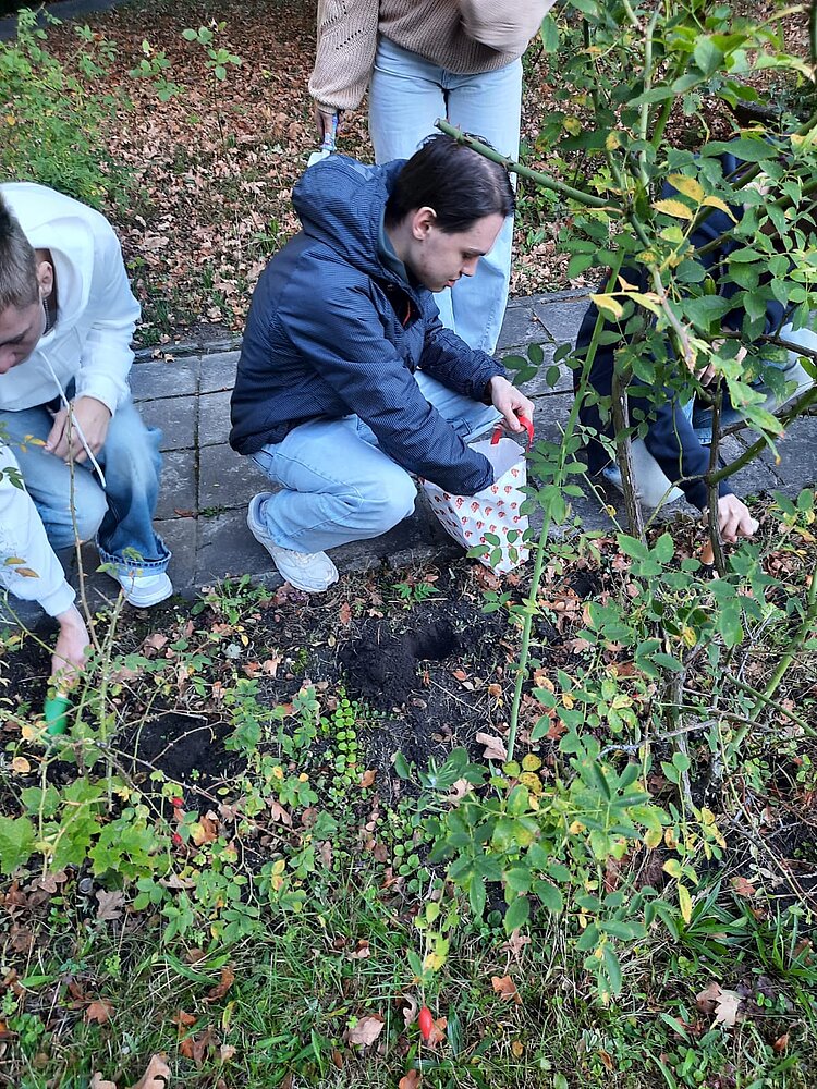Mehrere junge Menschen arbeiten gemeinsam im Garten. Eine Person kniet am Boden und befüllt ein Pflanzloch mit Erde, während andere daneben stehen oder ebenfalls Pflanzen einsetzen. Es ist Herbst, Blätter liegen auf dem Boden, und die Gruppe wirkt konzentriert und engagiert.