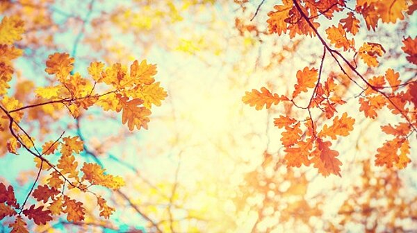 Programm in den Herbstferien