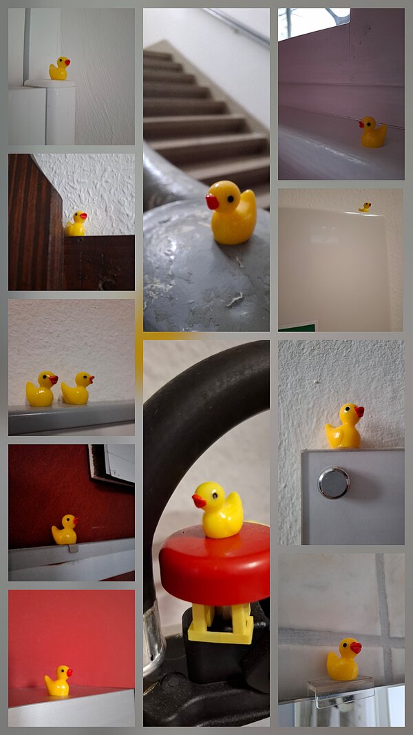 Collage mit mehreren kleinen gelben Badeenten, die an verschiedenen Orten im Gebäude als Teil einer Osteraktion versteckt wurden.