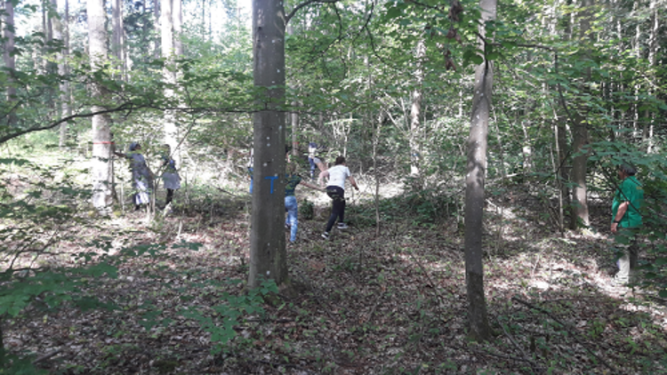 Waldtag des Berufskollegs
