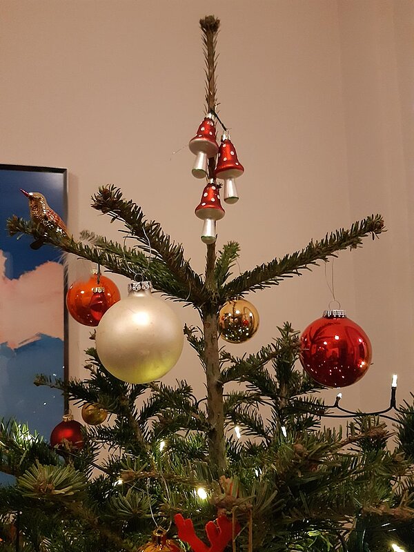 Ein Adventskalender der besonderen Art: Für- und miteinander