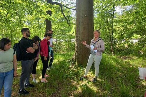 Das Beste kommt zum Schluss: Kräuterwanderung