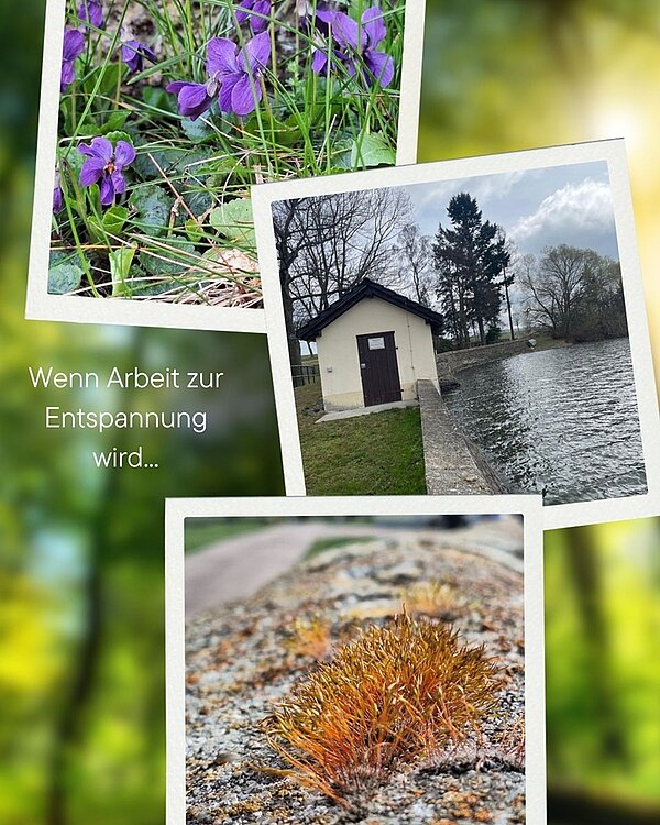 Weiterbildung: Naturpädagogik