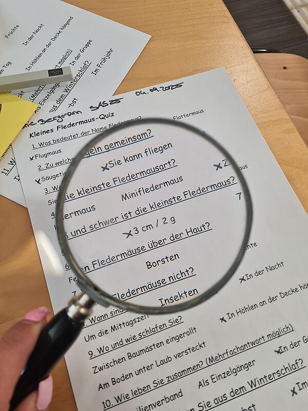 Durch eine Lupe kann man ein Arbeitsblatt mit einem "Kleinen Federmaus-Quiz" sehen. Die Lupe wird von zwei Fingern mit langen rosafarbenen Fingernägeln gehalten.