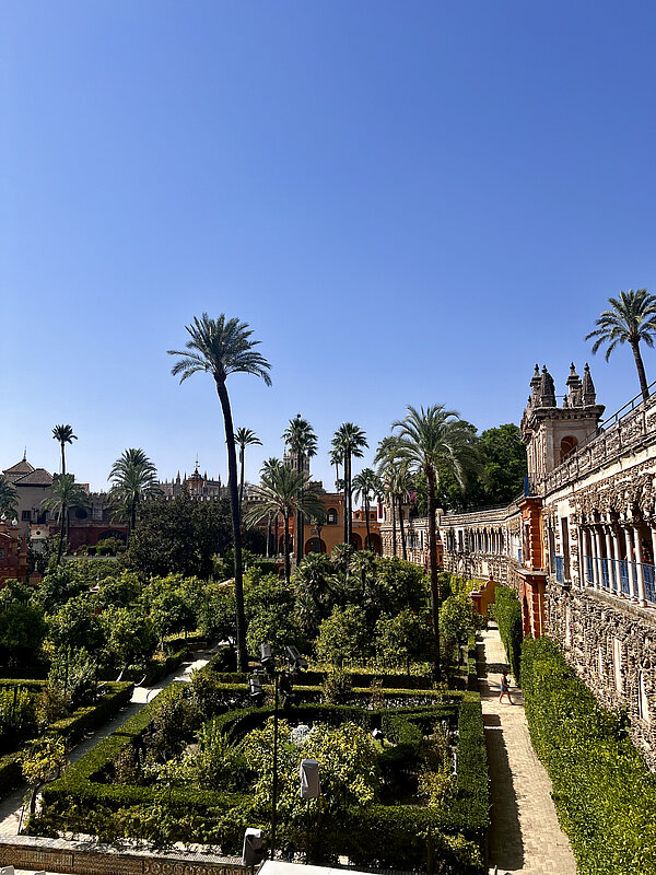 Erasmus-Bericht von Vanessa (Córdoba, 08/2024) Ein prachtvoller Garten mit üppigem Grün, gepflegten Hecken und hohen Palmen, umgeben von historischen Gebäuden mit detailreichen Fassaden. Im Hintergrund ist ein beeindruckendes Bauwerk mit gotischen Elementen zu sehen. Strahlend blauer Himmel verstärkt die mediterrane Atmosphäre.