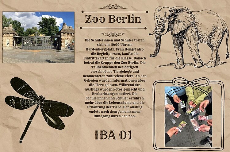 Im Zentrum steht eine Infografik mit dem Titel 'Zoo Berlin' in großer Schrift. Links oben ist ein Foto des Zooeingangs mit einem Tor und Gebäuden zu sehen. Rechts daneben befindet sich eine detaillierte, schwarz-weiße Linienzeichnung eines Elefanten. Darunter steht ein längerer Text, der einen Ausflug von Schülerinnen und Schülern in den Zoo beschreibt. Links unten ist eine schwarz-weiße Linienzeichnung einer Libelle abgebildet. Rechts unten zeigt ein Foto mehrere Hände, die Tierkarten auf einem Tisch auslegen. Am unteren Rand steht in großer Schrift 'IBA 01'. Der Hintergrund ist beige mit dezenten Ornamenten.