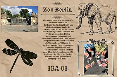 Im Zentrum steht eine Infografik mit dem Titel 'Zoo Berlin' in großer Schrift. Links oben ist ein Foto des Zooeingangs mit einem Tor und Gebäuden zu sehen. Rechts daneben befindet sich eine detaillierte, schwarz-weiße Linienzeichnung eines Elefanten. Darunter steht ein längerer Text, der einen Ausflug von Schülerinnen und Schülern in den Zoo beschreibt. Links unten ist eine schwarz-weiße Linienzeichnung einer Libelle abgebildet. Rechts unten zeigt ein Foto mehrere Hände, die Tierkarten auf einem Tisch auslegen. Am unteren Rand steht in großer Schrift 'IBA 01'. Der Hintergrund ist beige mit dezenten Ornamenten.