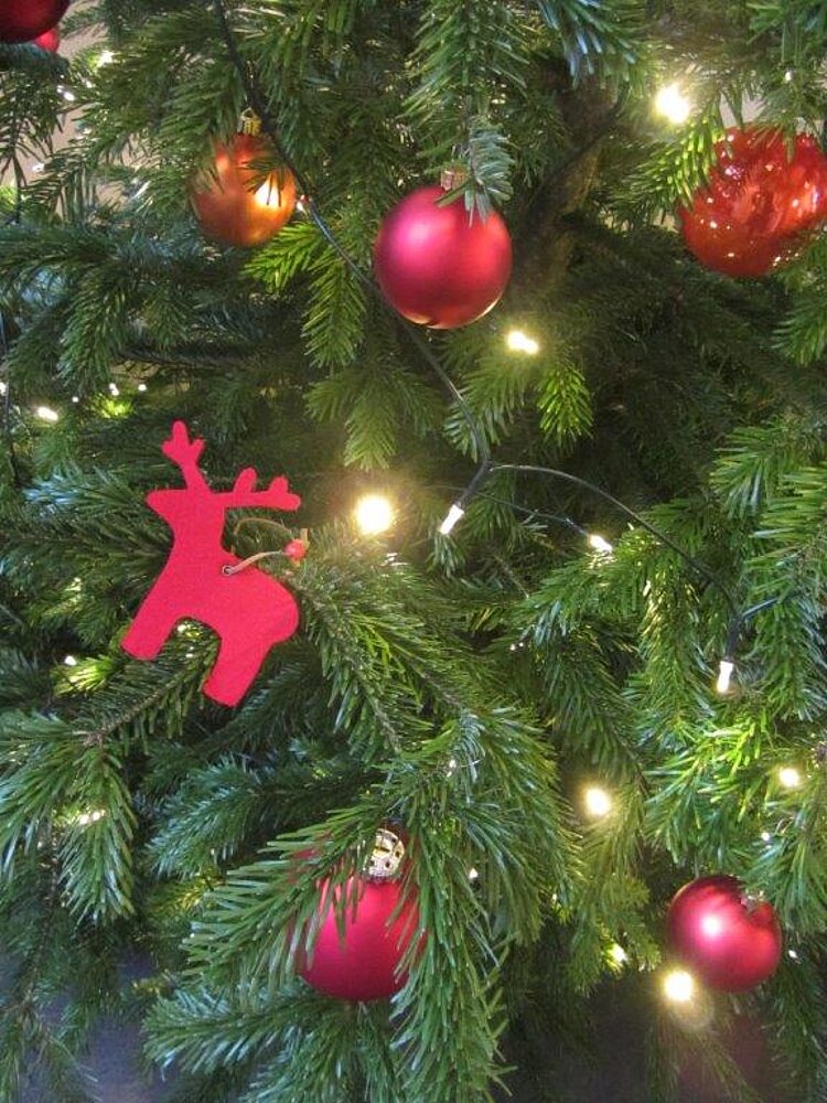Frohe Weihnachten!