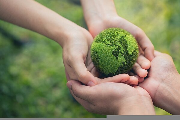 Auszeichnung als Klimaschule