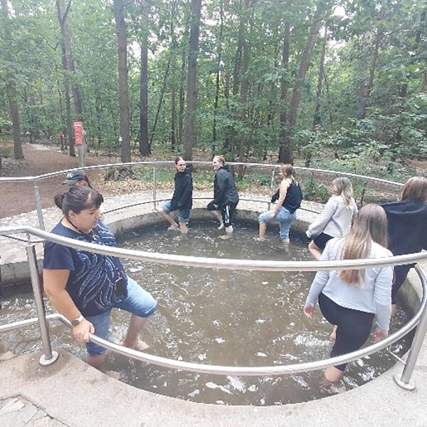 Eine Gruppe von Menschen geht in einem flachen, runden Wasserbecken barfuß im Kreis in einem Wald. 