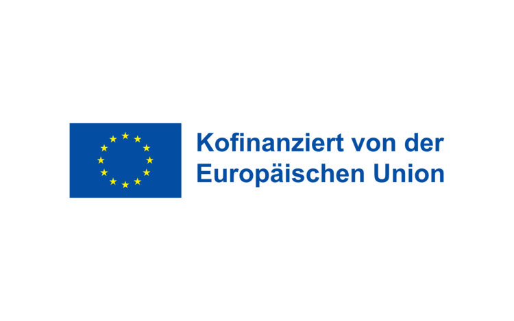 Logo "Kofinanziert von der Europäischen Union" mit Europaflagge