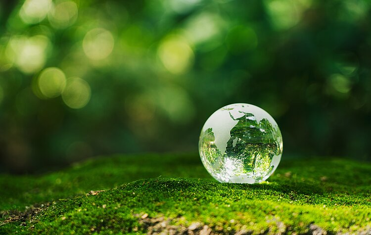 Eine gläserne kleine Weltkugel liegt auf einem mit Moss bedeckten Baumstumpf, im Hintergrund ist ein Wald.