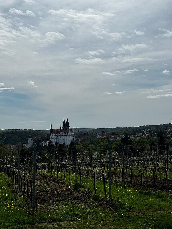 Teamevent der Euro Akademie