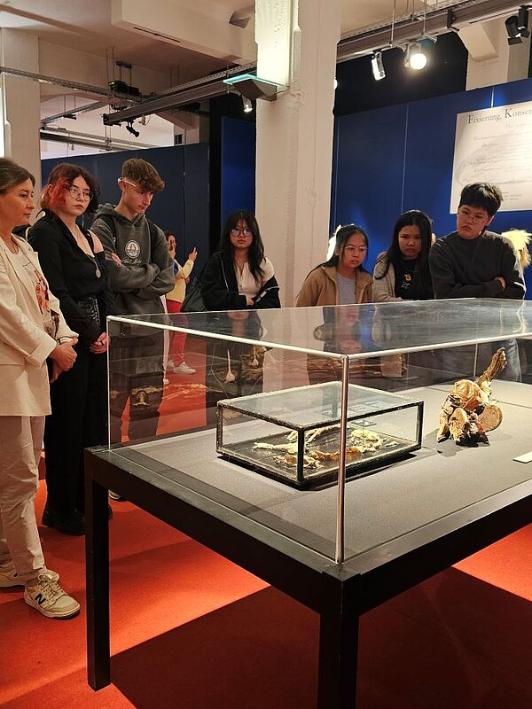 Anatomie hautnah erlebt – Ein unvergesslicher Ausflug ins Plastinarium! Eine größere Gruppe von Besuchern, darunter Auszubildende der Euro Akademie Görlitz, versammelt sich um eine Vitrine mit anatomischen Exponaten im Plastinarium Guben. Die Exponate zeigen verschiedene Knochen und Skelettteile.