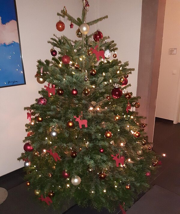 Ein Adventskalender der besonderen Art: Für- und miteinander