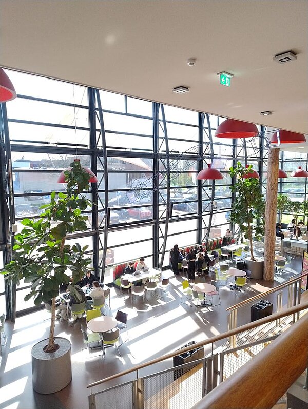 Ein Blick von oben in ein modernes helles Café oder eine Kantine mit Architektur aus Glas, Stahl und Holz.. Man sieht Tische, Stühle, Pflanzen und eine Treppe, die in den Raum führt.