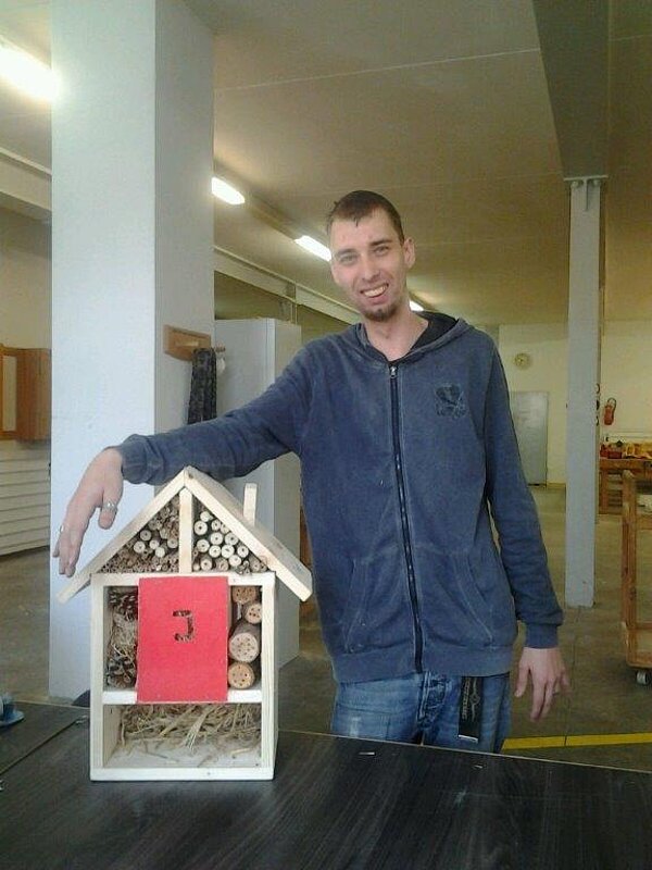 Vom Insektenhotel bis zum Filmdreh: Projektwoche zum Schuljahresabschluss