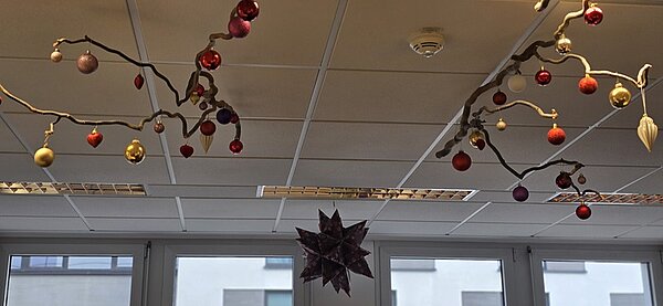 In einem hellen Raum mit abgehängter Decke hängen von der Decke mehrere dünne, verzweigte Äste, die mit roten, goldenen und violetten Weihnachtskugeln sowie goldfarbenen Blättern geschmückt sind. In der Mitte des Fensters ist ein großer, dunkelroter, sternförmiger Weihnachtsstern aus Papier oder Stoff angebracht. Durch die Fenster sind unscharfe Außenfassaden von Gebäuden zu erkennen. Die Dekoration vermittelt eine festliche, weihnachtliche Atmosphäre in den Räumlichkeiten der Euro-Schulen und Euro Akademien in Dresden, Meißen und Riesa.