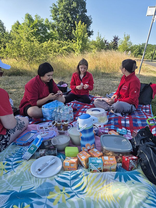 Ein Sinneskreis am Goitzsche-Strand: Lernen, Fühlen, Erleben! Mehrere Frauen sitzen beim Picknick auf Decken im Grünen. Vor ihnen ein bunter gedeckter Tisch mit Snacks, Getränken und Geschirr.