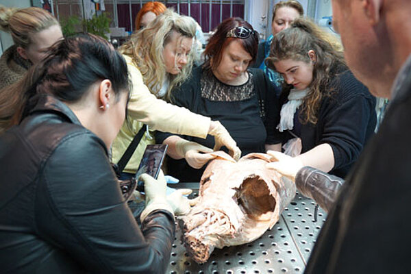 Altenpfleger besuchten „Plastinarium“
