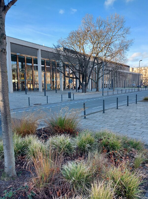 Praxis – „nah“: Besuch im RMCC in Wiesbaden Der Blick über die Straße zeigt zum Eingang des Rhein Main Congress Centers mit deckenhohen Fenstern. Die zwei Bäume davor tragen keine Blätter. Im Vordergrund sieht man am Boden Gräser, die um einen Baum herum gepflanzt sind.