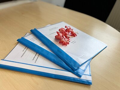Prüfungsurkunden in blauen Schnellheftern, auf denen rote Blüten liegen.