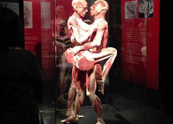 Erzieherklasse besuchte Ausstellung „Körperwelten“