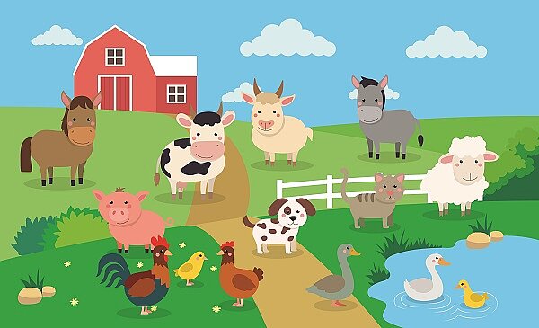 Was essen eigentlich Nutztiere?