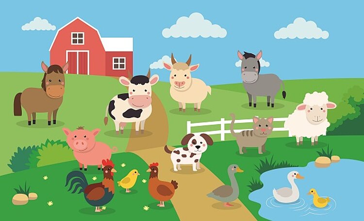 Was essen eigentlich Nutztiere?