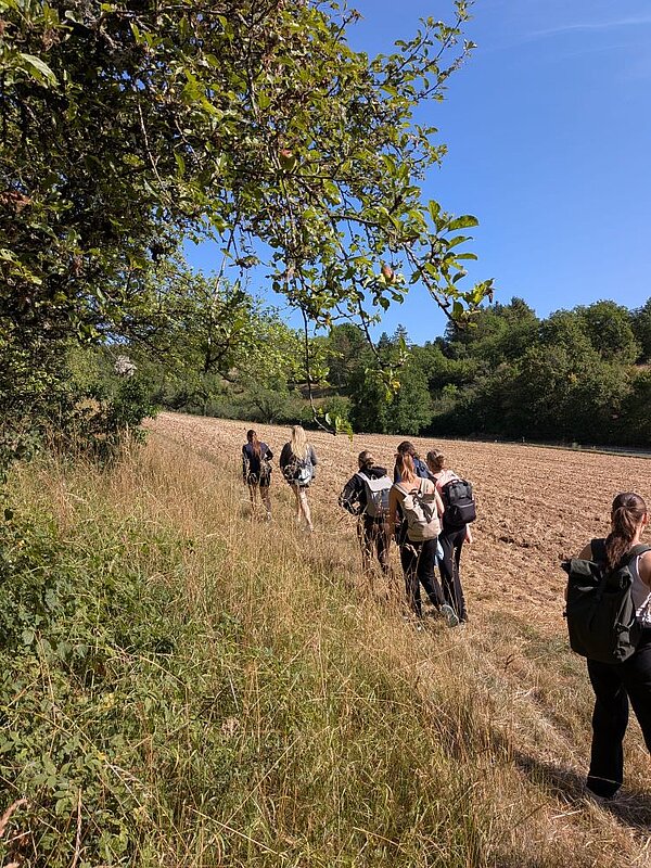 Eine Gruppe von Wanderern auf einem schmalen Pfad in einer ländlichen Umgebung. Die Personen tragen Rucksäcke und gehen in einer Reihe durch eine grüne Landschaft mit Feldern und Bäumen.