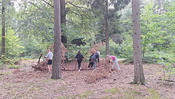 Vier Jugendliche sammeln und ordnen Äste und Zweige auf einer Waldlichtung für den Bau einer einfachen Konstruktion.