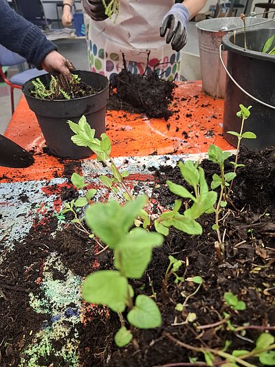 Bei einer Pflanzaktion werden junge Pflanzen in Töpfe gesetzt; auf dem Tisch liegen Erde, Pflanzgefäße und Gartenmaterialien.