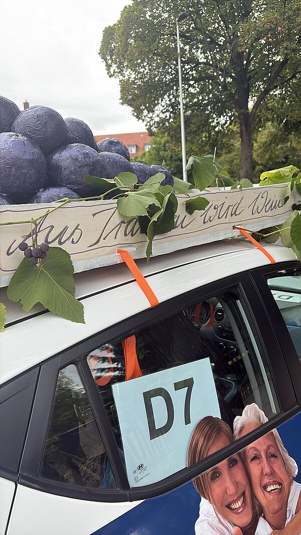 Auf dem Dach eines weißen Autos sind luftballongroße, selbstgebastelte Weintrauben befestigt. Darunter steht der Schriftzug "Aus Trauben wird Wein".