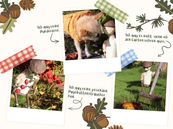 Pauli der Eicheljunge wird von einem kleinen Hund beschnuppert, was er nicht mag, er kehrt den Garten mit einem Miniaturbesen, was er ebenfalls nicht mag und er schaut sich pieckende Hagebuttensträucher an, die er natürlich auch nicht mag. 