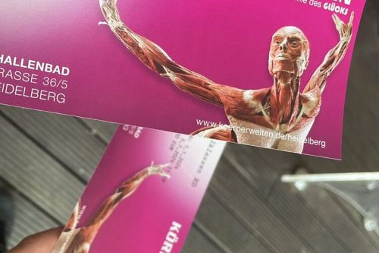 Tiefe Einblicke in den menschlichen Körper Nahaufnahme von zwei pinken Eintrittskarten mit dem Aufdruck www.koerperwelten.de/heidelberg in der rechten unteren Ecke. Darüber befindet sich der Körper einer toten Person, die Muskeln sind gut erkennbar. Die Figur hat beide Arme weit ausgestreckt.