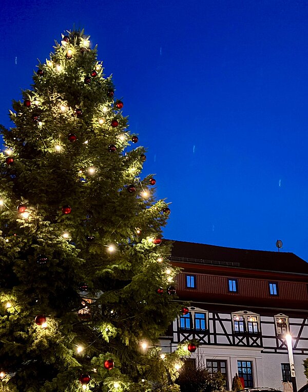 Großer geschmückter Weihnachtsbaum mit Lichtern und roten Kugeln vor historischen Fachwerkhäusern am Abend.