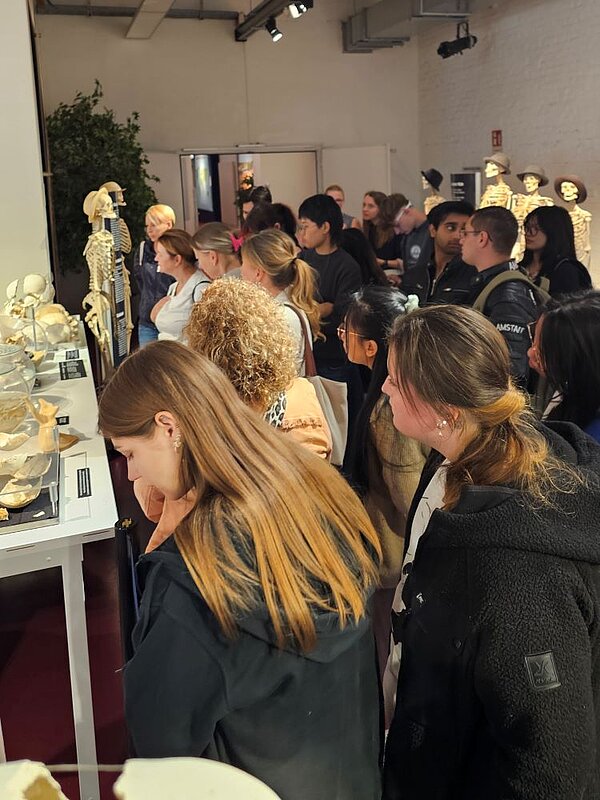 Anatomie hautnah erlebt – Ein unvergesslicher Ausflug ins Plastinarium! Eine größere Gruppe von Besuchern, darunter Auszubildende der Euro Akademie Görlitz, versammelt sich um eine Vitrine mit anatomischen Exponaten im Plastinarium Guben. Die Exponate zeigen verschiedene Knochen und Skelettteile.