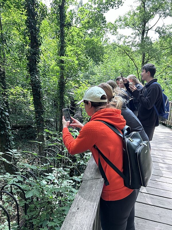 Die Auszubildenden machen alle Fotos mit ihrem Smartphone. Wahrscheinlich von einem Tier, nur sieht man nicht welches, man sieht nur viel Grün, Bäume, Büsche. 