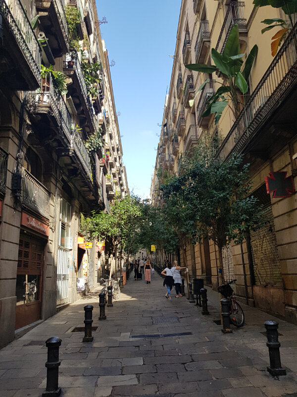 Eine tolle Chance: Erzieher*innen mit Erasmus+ in Barcelona