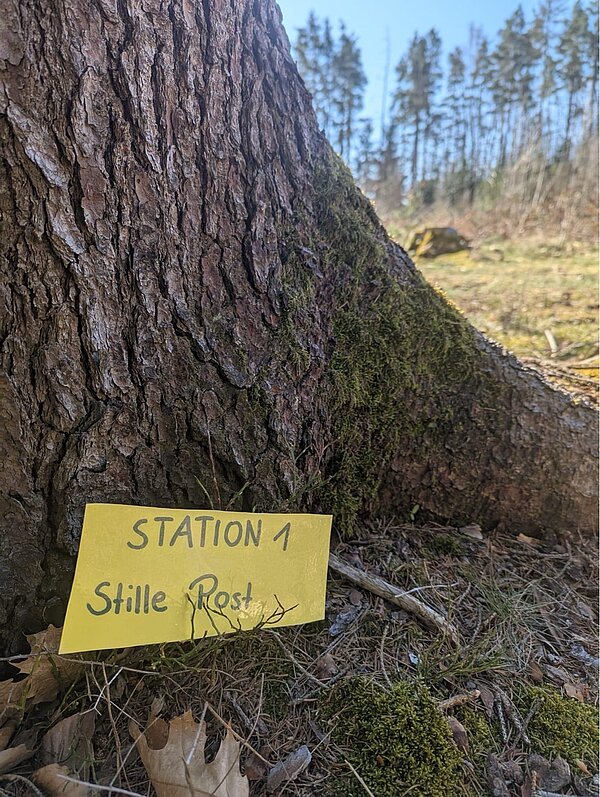 Vor einem Baumstamm liegt auf dem Waldboden ein gelbes Schild mit der Aufschrift: Station 1 Stille Post.